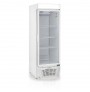 Refrigerador Vertical Conveniência Esmeralda GLDR-570AF